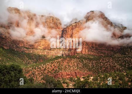 Mattinata di nebbia nel Parco Nazionale di Zion Foto Stock