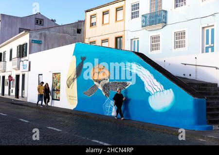 Facciate colorate di case a Horta, Faial, Azzorre, Portogallo Foto Stock