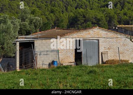 Antica fattoria con recinzioni e alberi Foto Stock