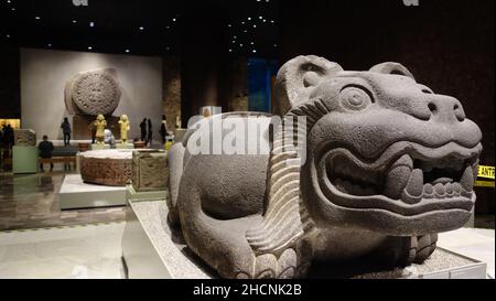 Antropologia Museo Nazionale Messico, Sala Aztec. Ocelocuauhxhicalli per mantenere il cuore umano. Foto Stock