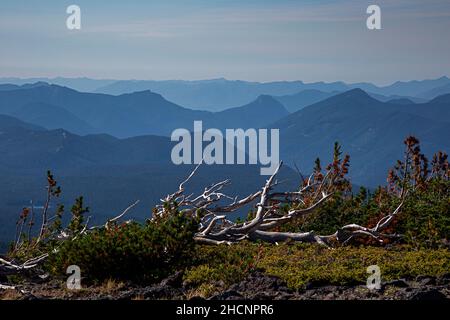 WA19973-00...WASHINGTON - Vista delle valli fumate dall'High Camp nella zona di Mount Adams Wilderness; Gifford Pinchot National Forest. Foto Stock