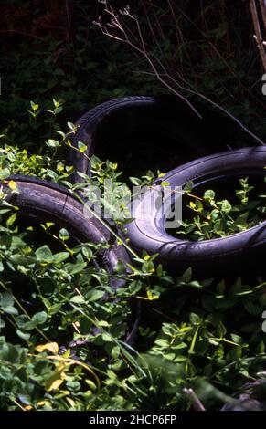 VECCHI PNEUMATICI SCARICATI ILLEGALMENTE NELL'AREA DEL BUSH DI ADELAIDE. AUSTRALIA MERIDIONALE. Foto Stock