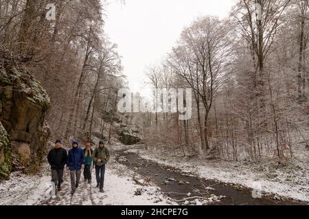 Freital: valle Rabenauer Grund, fiume Rote Weißeritz, escursionista, neve, a Erzgebirge, Ore Mountains, Sachsen, Sassonia, Germania Foto Stock