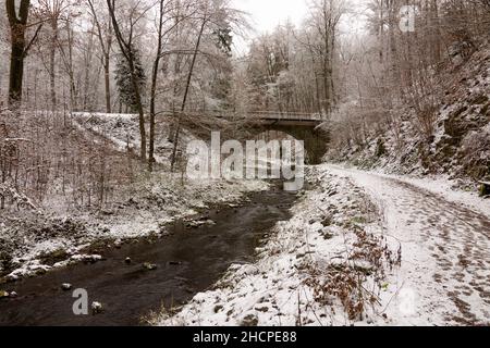 Freital: valle Rabenauer Grund, fiume Rote Weißeritz, ponte di Weißeritztalbahn (Weisseritz Valley Railway), neve, a Erzgebirge, Monti ore, SAC Foto Stock