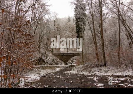 Freital: valle Rabenauer Grund, fiume Rote Weißeritz, ponte di Weißeritztalbahn (Weisseritz Valley Railway), neve, a Erzgebirge, Monti ore, SAC Foto Stock