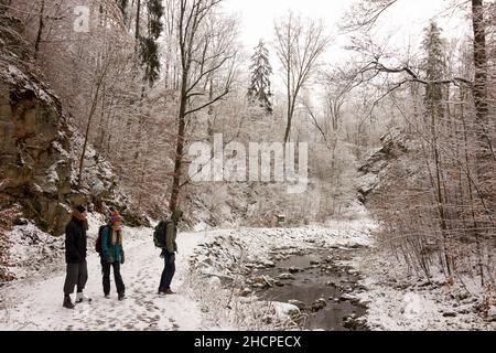 Rabenau: Neve nella valle Rabenauer Grund, fiume Rote Weißeritz, escursionista, a Erzgebirge, Monti ore, Sachsen, Sassonia, Germania Foto Stock