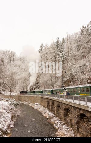 Rabenau: Neve nella valle Rabenauer Grund, fiume Rote Weißeritz, treno a vapore a scartamento ridotto di Weißeritztalbahn (Weisseritz Valley Railway) alla stazione Rab Foto Stock