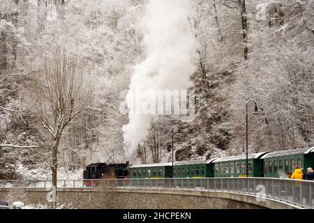 Rabenau: Neve nella valle Rabenauer Grund, fiume Rote Weißeritz, treno a vapore a scartamento ridotto di Weißeritztalbahn (Weisseritz Valley Railway) alla stazione Rab Foto Stock