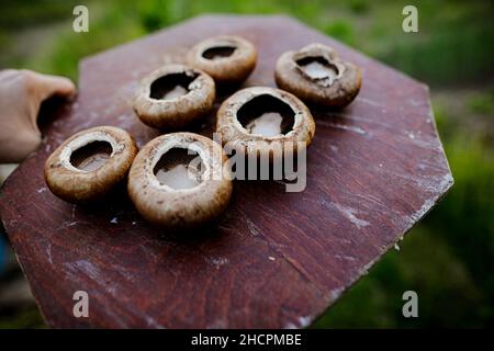 Profondità di campo poco profonda (fuoco selettivo) dettagli con funghi marroni (Agaricus bisporus) su un piatto di legno pronto per essere cotto. Foto Stock