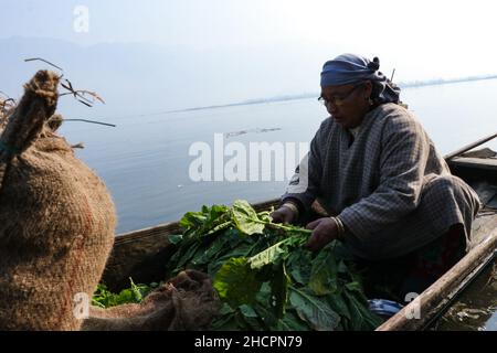 Srinagar, Jammu e Kashmir, India. 31st Dic 2021. Una donna che vende (Haak) o verdure fresche verdi del collardo durante il mercato delle pulci del venerdì a Hazratbal, Srinagar, Kashmir indiano-amministrato. Haak è una parola di Kashmiri equivalente a 'verdi' in inglese, un alimento di base dalla terra del Kashmir. Credit: Adil Abbas/ZUMA Wire/Alamy Live News Foto Stock