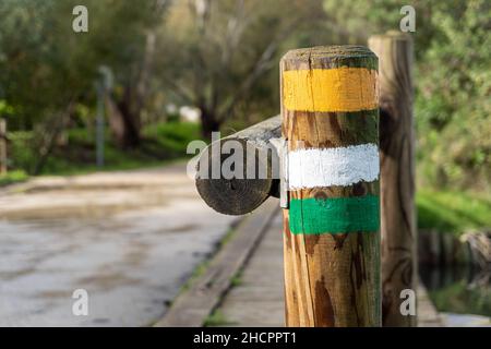 Fuoco selettivo sparato di escursioni e sentieri sul bosco in un parco Foto Stock