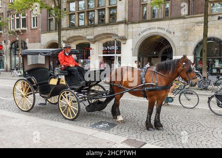 Amsterdam, Paesi Bassi - 12 giugno 2013: Carrozza trainata da cavalli si trova sulle strade di Amsterdam in attesa di turisti. Una popolare attrazione turistica. Foto Stock