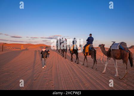 Carovana di cammelli con turisti che attraversano la sabbia nel deserto Foto Stock