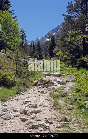 Il francese Pyrnes: a piedi il GR10 nella Valle de Gaube Foto Stock