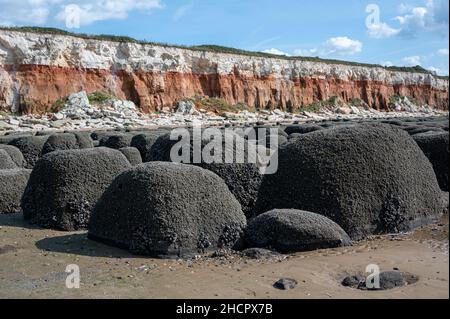 Massi, o pietre disposte in linee rette coperte di cozze e granai a Hunstanton Beach, Norfolk Foto Stock