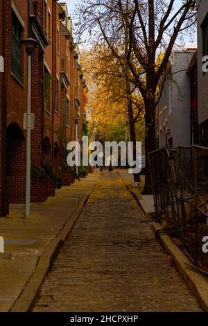 Scatto verticale di un vicolo tra due edifici residenziali in autunno Foto Stock