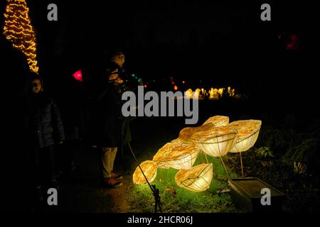 Scene da Glow Wild a Wakehurst Place Foto Stock