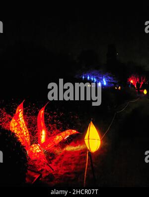 Scene da Glow Wild a Wakehurst Place Foto Stock