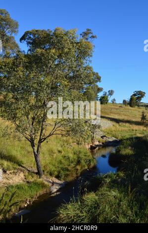 Una vista a Snake Valley Creek in campagna, Australia Foto Stock