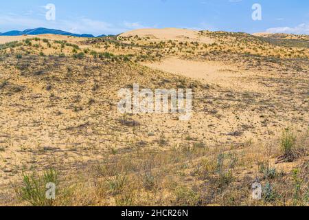 Sarykum la più grande duna di sabbia in Eurasia nella Riserva Naturale di Dagestan vicino Makhachkala città, Russia Foto Stock