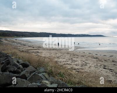 Persone con cani sulla Croy Beach South Ayrshire in inverno Foto Stock