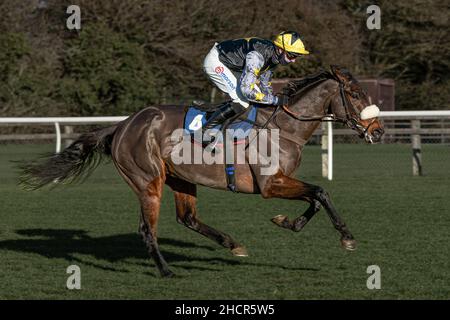 Harry Cobden in sella a Rainyday Woman per vincere a Wincanton Dicembre 2nd 2021 Foto Stock