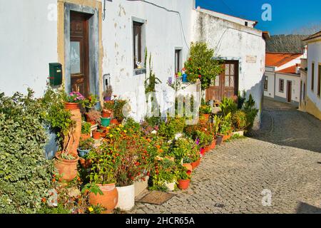 Bellissimo giardino con piante in vaso di fronte a una casa tradizionale nella città portoghese di Aljezur, Algarve Foto Stock