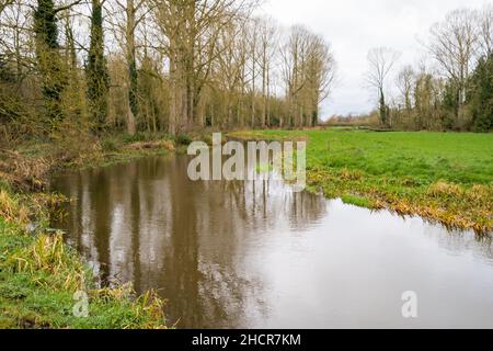 Il fiume Bure in piena inondazione che scorre attraverso prati nel villaggio di Norfolk di Buxton. Catturato in un luminoso, ma freddo, giorno d'inverno Foto Stock