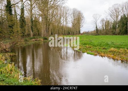 Il fiume Bure in piena inondazione che scorre attraverso prati nel villaggio di Norfolk di Buxton. Catturato in un luminoso, ma freddo, giorno d'inverno Foto Stock