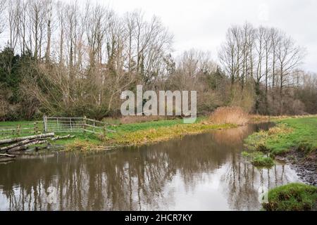 Il fiume Bure in piena inondazione che scorre attraverso prati nel villaggio di Norfolk di Buxton. Catturato in un luminoso, ma freddo, giorno d'inverno Foto Stock