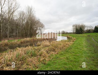 Il fiume Bure in piena inondazione che scorre attraverso prati nel villaggio di Norfolk di Buxton. Catturato in un luminoso, ma freddo, giorno d'inverno Foto Stock