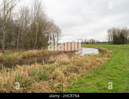 Il fiume Bure in piena inondazione che scorre attraverso prati nel villaggio di Norfolk di Buxton. Catturato in un luminoso, ma freddo, giorno d'inverno Foto Stock