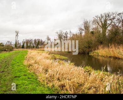 Il fiume Bure in piena inondazione che scorre attraverso prati nel villaggio di Norfolk di Buxton. Catturato in un luminoso, ma freddo, giorno d'inverno Foto Stock