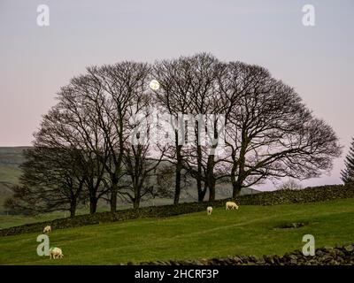 Luna piena che sorge su una fattoria ad Austwick, nello Yorkshire Dales, Regno Unito. Foto Stock
