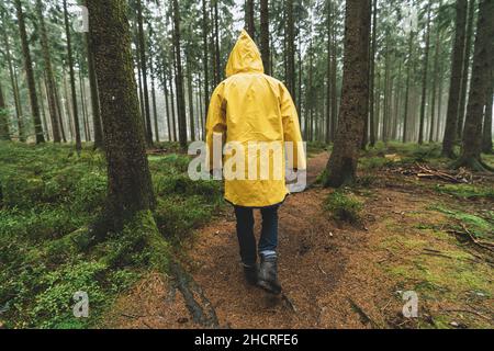 escursionista con impermeabile giallo cammina nella foresta in autunno Foto Stock