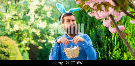 Funny Man preparazione per la Pasqua. L'uomo felice barbuto con le orecchie conigliate tiene il cestino con le uova all'aperto. Caccia di Pasqua, banner. Foto Stock
