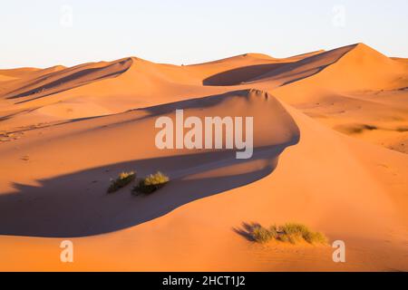 Salve, Arabia Saudita. 01st Jan 2022. Paesaggio durante la tappa 1A del Dakar Rally 2022 tra Jeddah e Hail, il 1st 2022 gennaio a Hail, Arabia Saudita - Foto Florent Gooden / DPPI Credit: DPPI Media / Alamy Live News Foto Stock