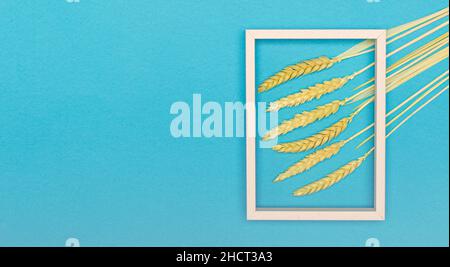I gambi dell'orecchio di grano in bottiglia contro il blu chiaro. Design minimalista degli interni concetto di decorazione. Vista dall'alto. Spazio di copia. Foto Stock