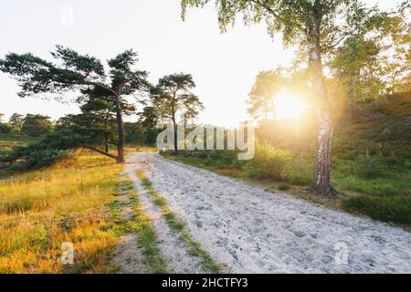 ideale per siti web e riviste Foto Stock