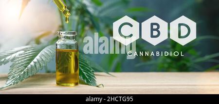 Cannabis CBD estratti di olio in giare erbe e foglie. Concetto di marijuana medica Foto Stock