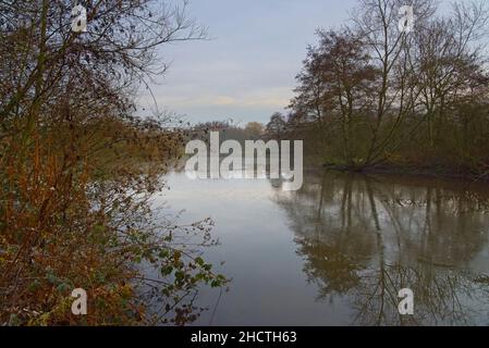 Misty, mattina invernale al lato dei laghi Mill nel Nottinghamshire. Foto Stock