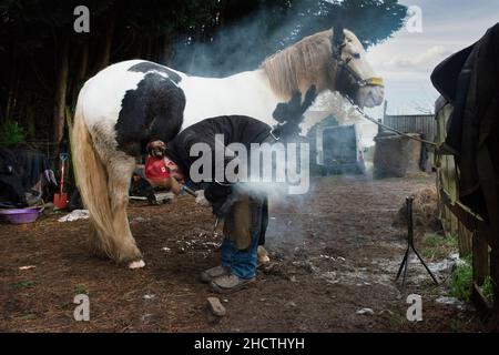 Un guerriero mobile scarpe un cavallo in Oxfordshire.He ha una fucina a gas ecc in furgone e tutto ciò di cui ha bisogno per mantenere i cavalli in movimento. Foto Stock