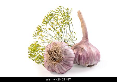 aglio e un rametto di aneto su sfondo bianco con ombra morbida Foto Stock