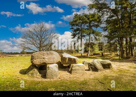 Dolmen D10 nella provincia olandese di Drenthe con uno sfondo di querce. Un dolmen o in olandese un Hunebed è costruzione dalla nuova età della pietra Foto Stock