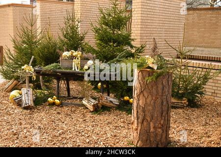 Vaduz, Liechtenstein, 6 dicembre 2021 bella presentazione deco di natale nel centro della città Foto Stock