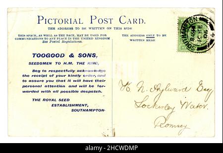 Reverse of Original Edwardian era Toogood & Sons - commercianti di semi, cartolina per un avviso di ricevimento dell'ordine, inviato da Southampton il 10 febbraio 1906, Southampton, Inghilterra, Regno Unito Foto Stock