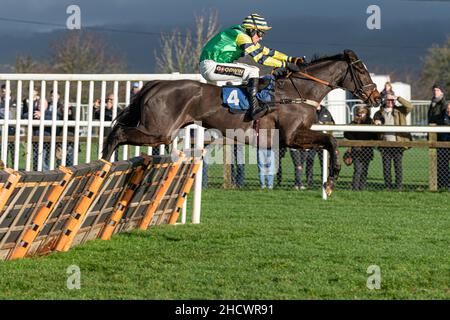 Gare di boxe Day a Wincanton - gara 1 Foto Stock