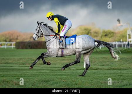 Prezioso Eleonora a Wincanton il giorno di Santo Stefano Foto Stock