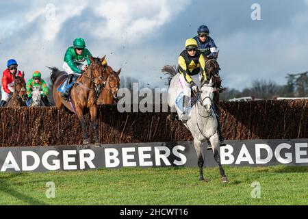 Prezioso Eleonora che corre a Wincanton il giorno di Santo Stefano 2021 Foto Stock