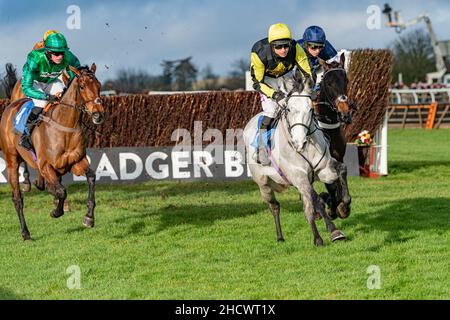 Prezioso Eleonora che corre a Wincanton il giorno di Santo Stefano 2021 Foto Stock